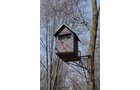 Property photo 103 - REAL ESTATE & PERSONAL PROPERTY AUCTION, 140 Acres offered in 8 Tracts or Combinations in Steuben County